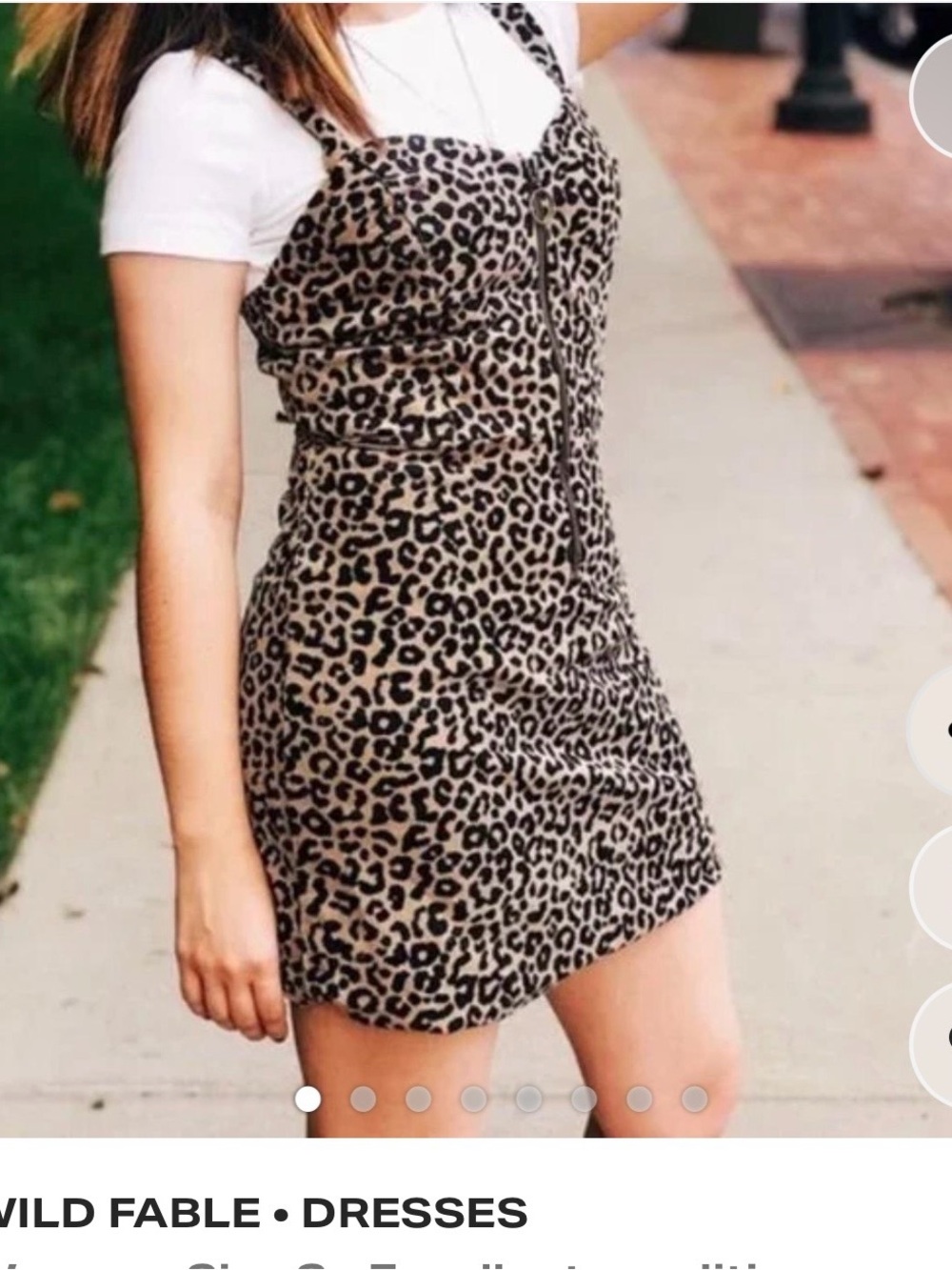 wild fable Leopard Print Mini Dress in Tan and Black